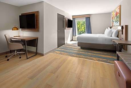 King Room with Roll-In Shower - Disability Access