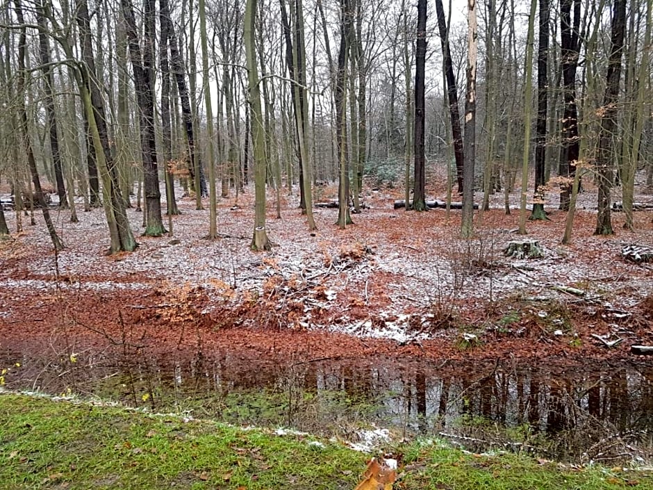Gästehaus Vergissmeinnicht