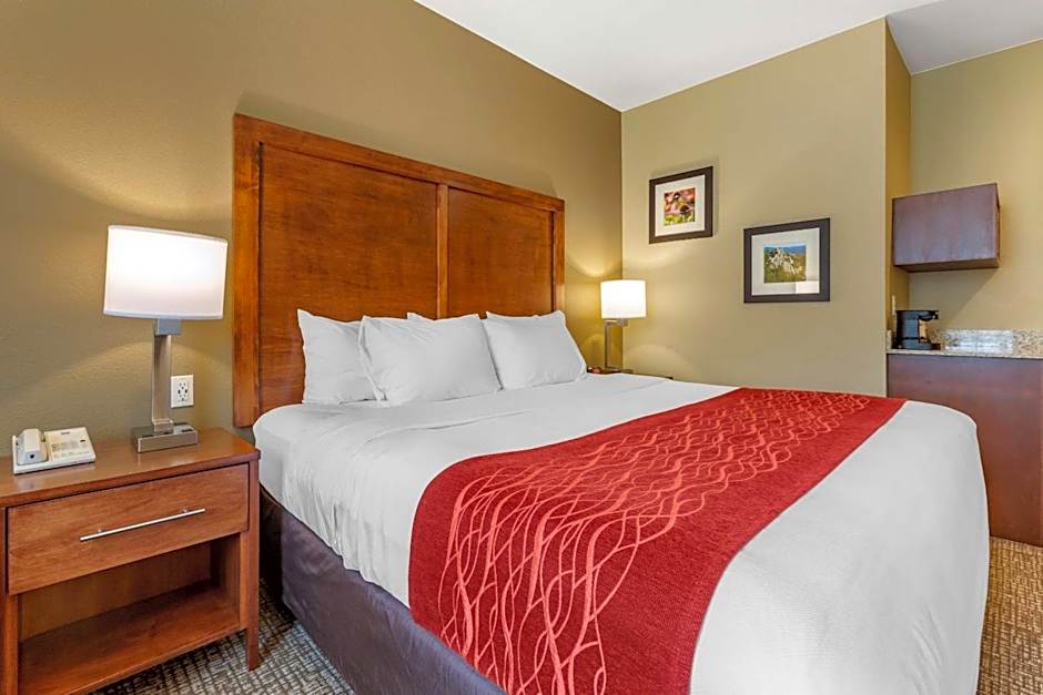 Comfort Inn & Suites Near Mt. Rushmore