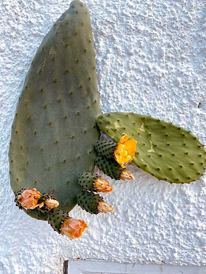 Hotel Borgo Cacciatori