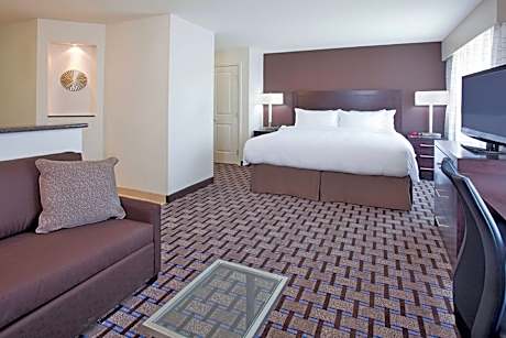 Studio Suite, 1 King Bed with Sofa bed (Mobility/Hearing Access, Roll-in Shwr)