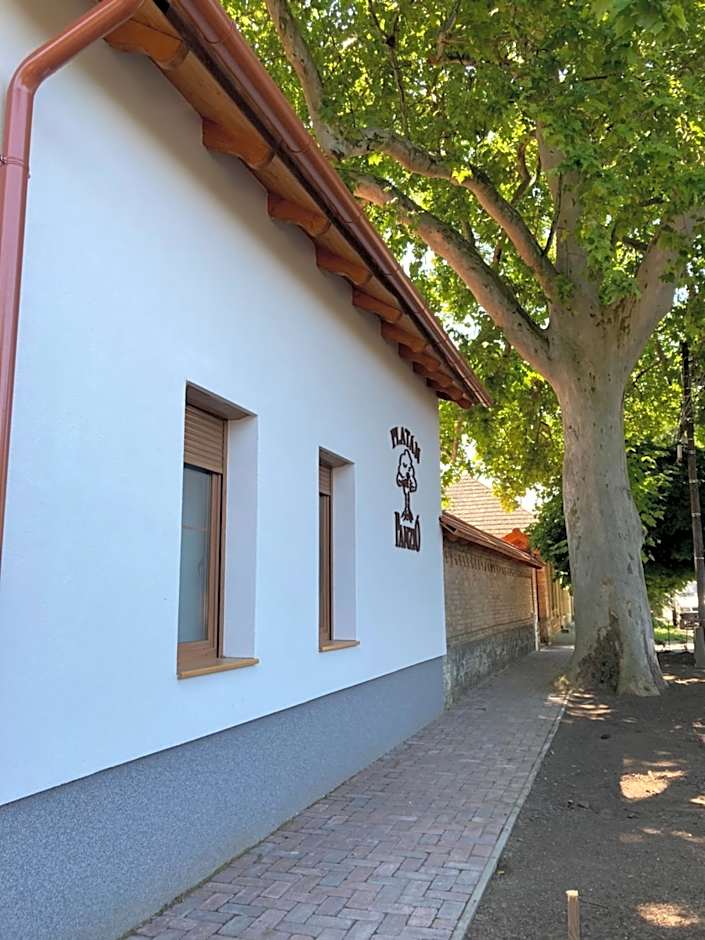 Platán Panzió