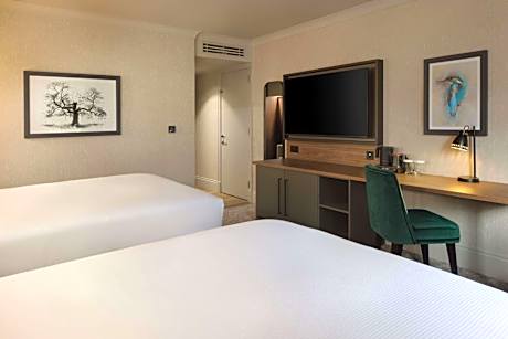 Deluxe Double Room with Two Double Beds and Golf View