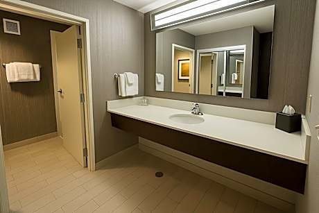 Suite, 1 Bedroom (1 King Bed and 1 Double Sofa Bed)