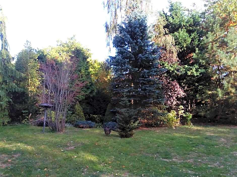 Hotel Leppiner Hof - B&B FRÜHSTÜCKSPENSION