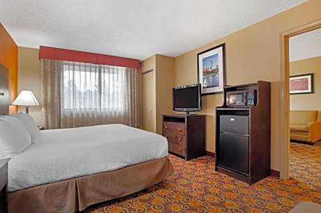 King Suite with Sofa Bed - Non-Smoking