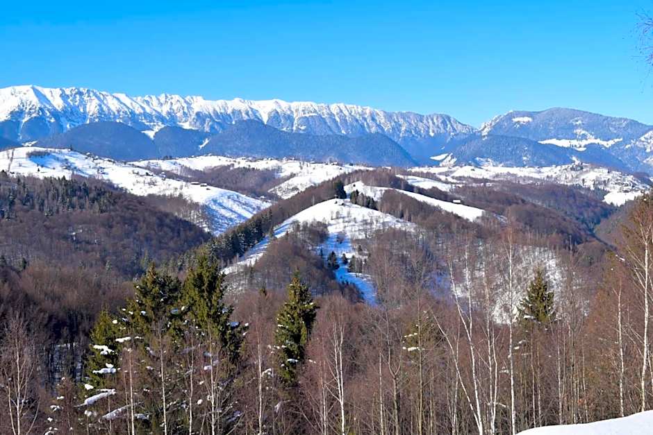 Cabana doi mesteceni