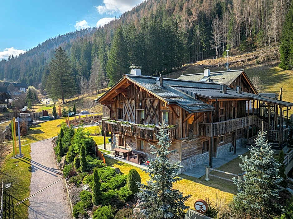 Alpine Mountain Chalet