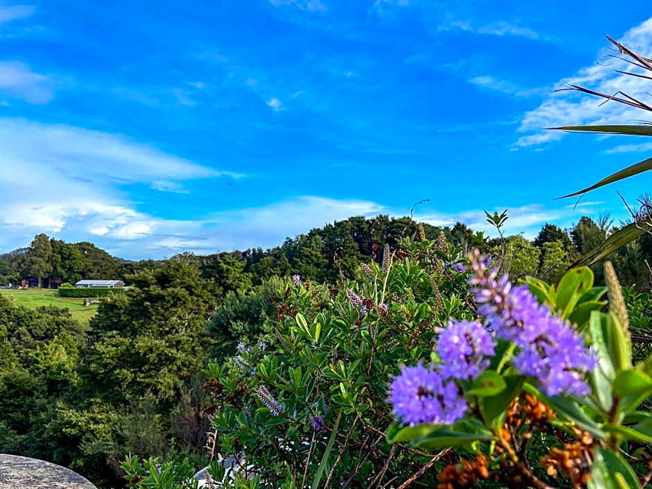 Kauri Villas