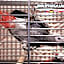 COLORFACTORY SPA Hotel - Czech Leading Hotels
