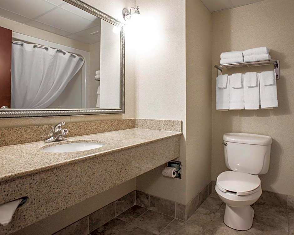 Comfort Inn & Suites Lumberton Central I-95