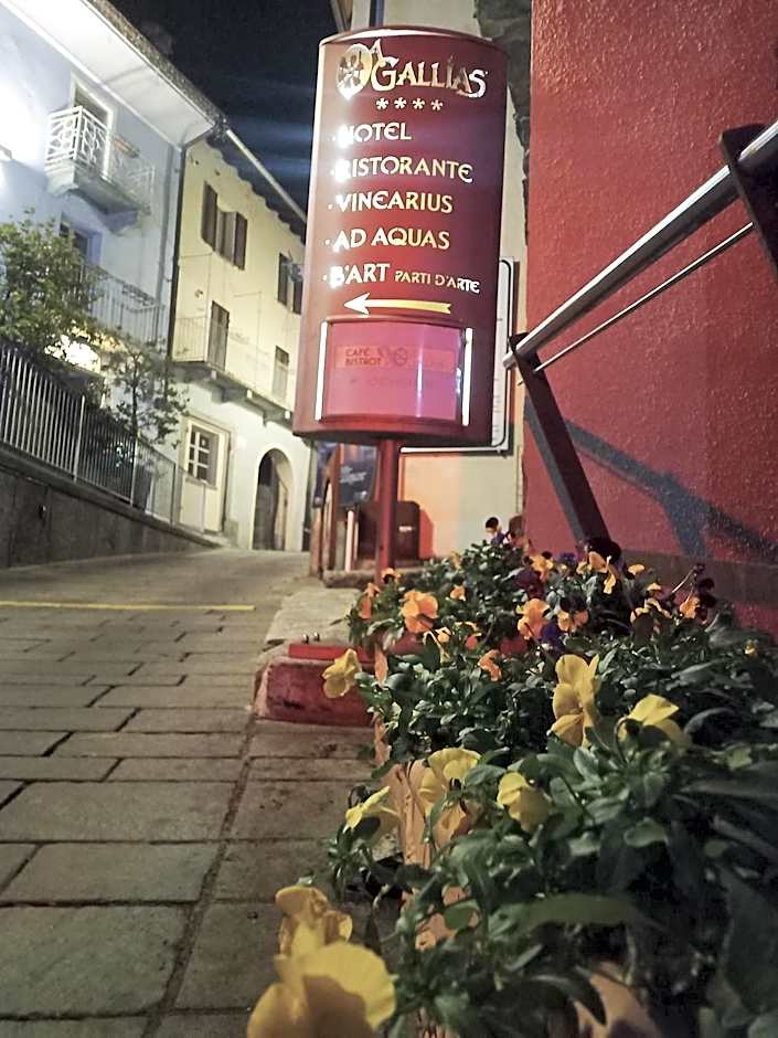 Hotel Ad Gallias