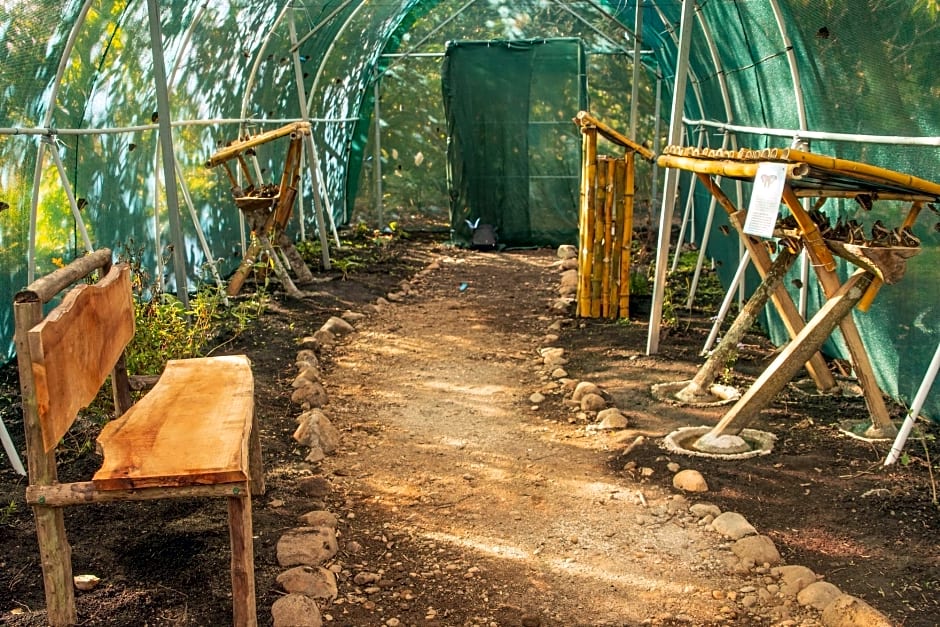 Paraiso Volcano Lodge