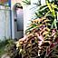 Villa Shantitara Bungalows