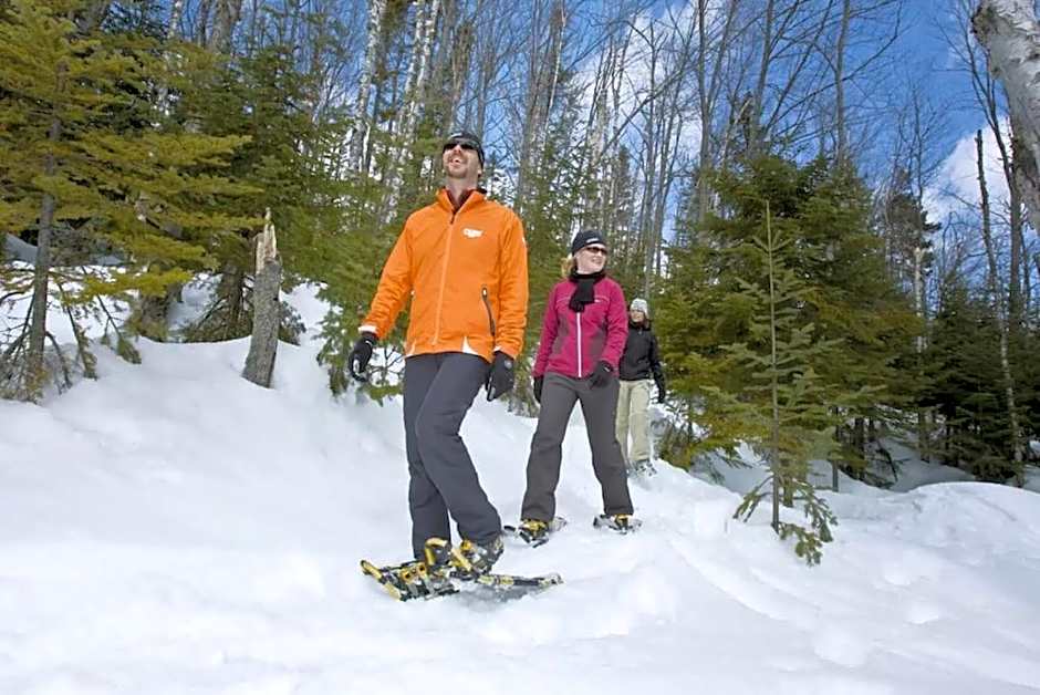 Initial / Solden / MSA