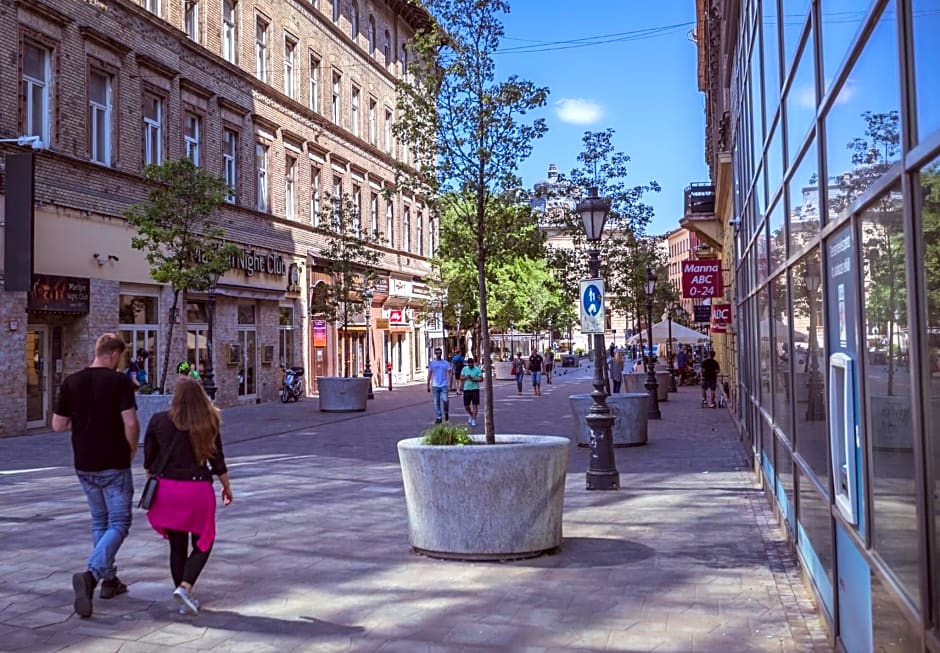 Budapest Passage 1