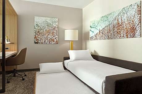 Queen Suite with Sofa Bed and Roll-in Shower - Mobility and Hearing Accessible