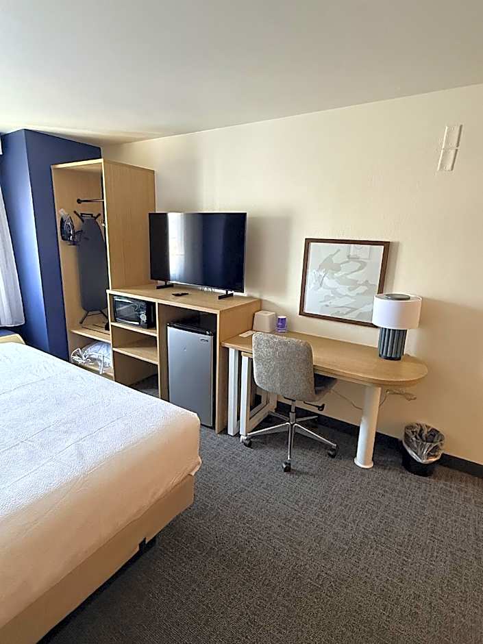 Spark by Hilton Appleton
