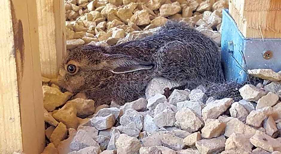 Kompleks Małe Dolomity