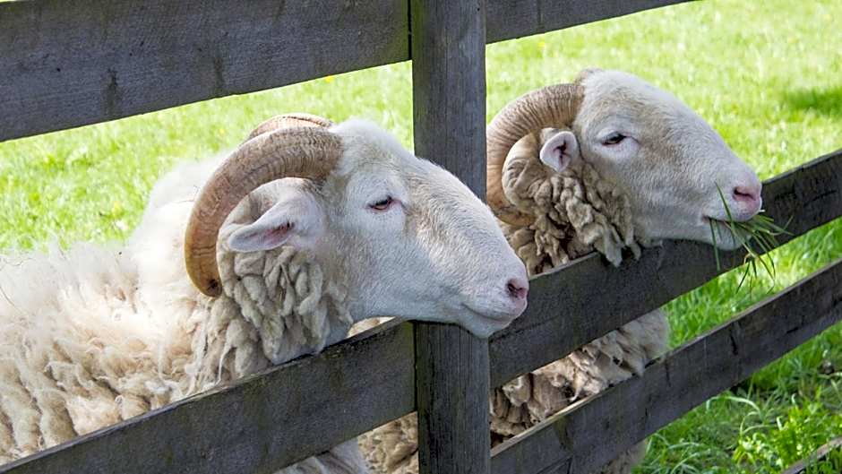 Holiday Inn Ipswich Orwell By IHG