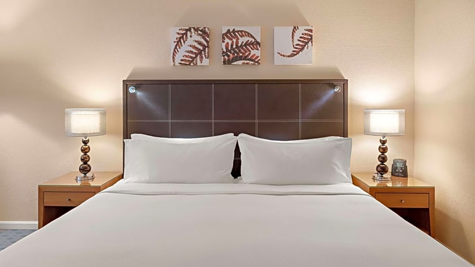 Hilton Dresden