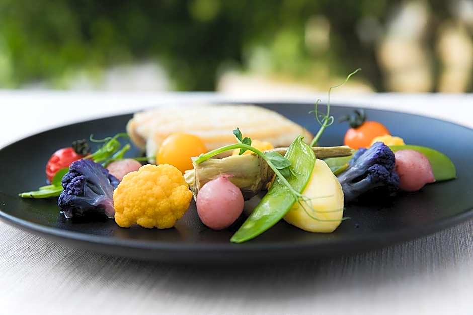 Logis LE RABELAIS Hôtel- Restaurant - SPA