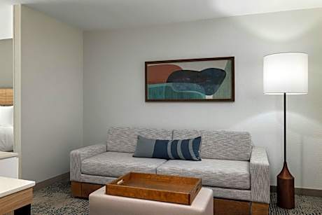 King Suite with Trundle Sofa