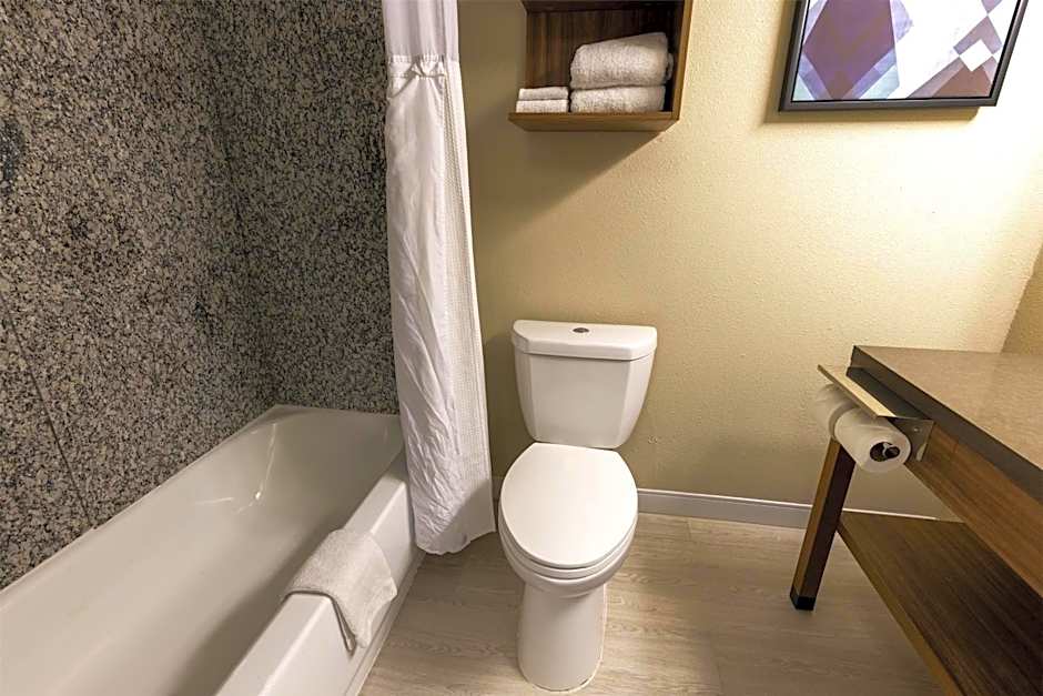 Sonesta ES Suites Lafayette Airport