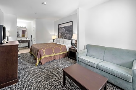 1 King Bed Deluxe Room Non-Smoking