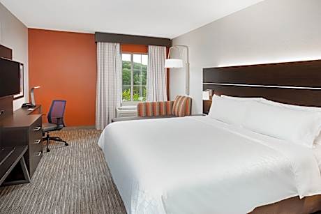 1 King Bed Standard Comm Access Tub