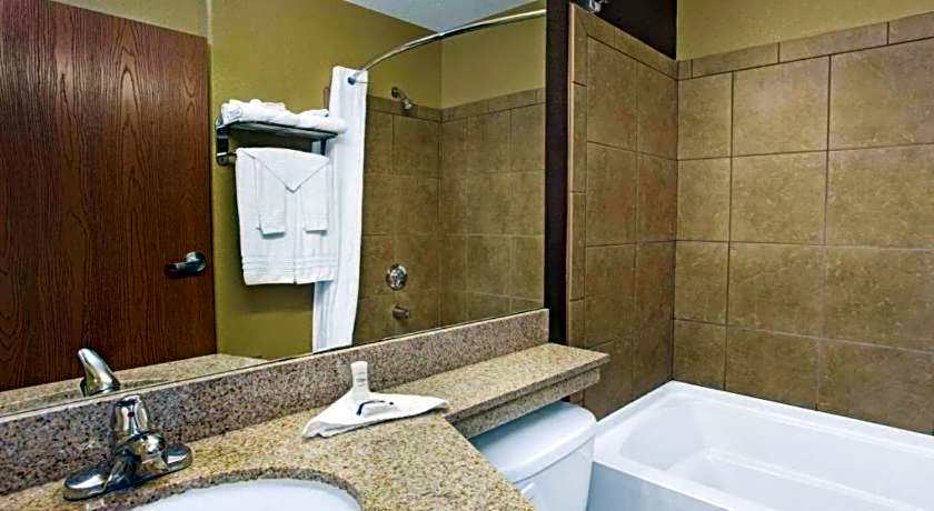 Microtel Inn & Suites by Wyndham Cartersville