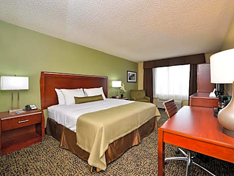 1 KING BED NON-SMOKING MICROWAVE AND MINI-REFRIGERATOR WI-FI FULL BREAKFAST
