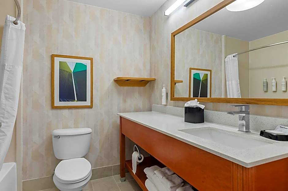 Hampton Inn Houston-Willowbrook Mall