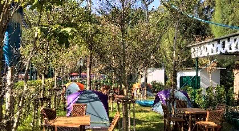 Khao Yai the kids adventure