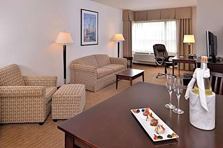 One-Bedroom King Suite