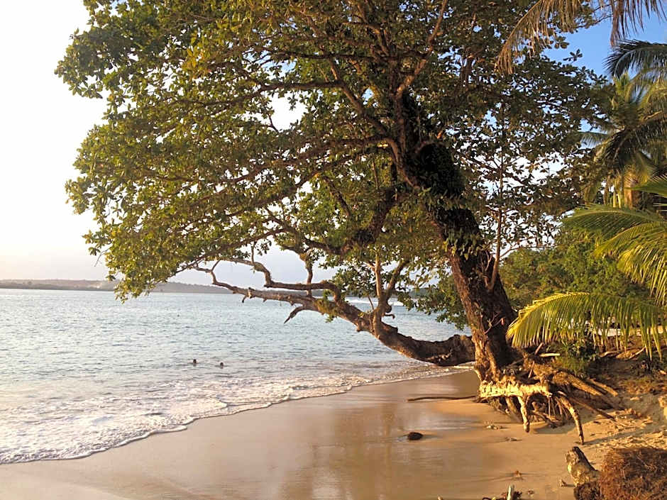 Masokut Surf Camp Siberut
