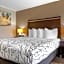 Best Western Redondo Beach Galleria Inn Hotel - Beach City LA