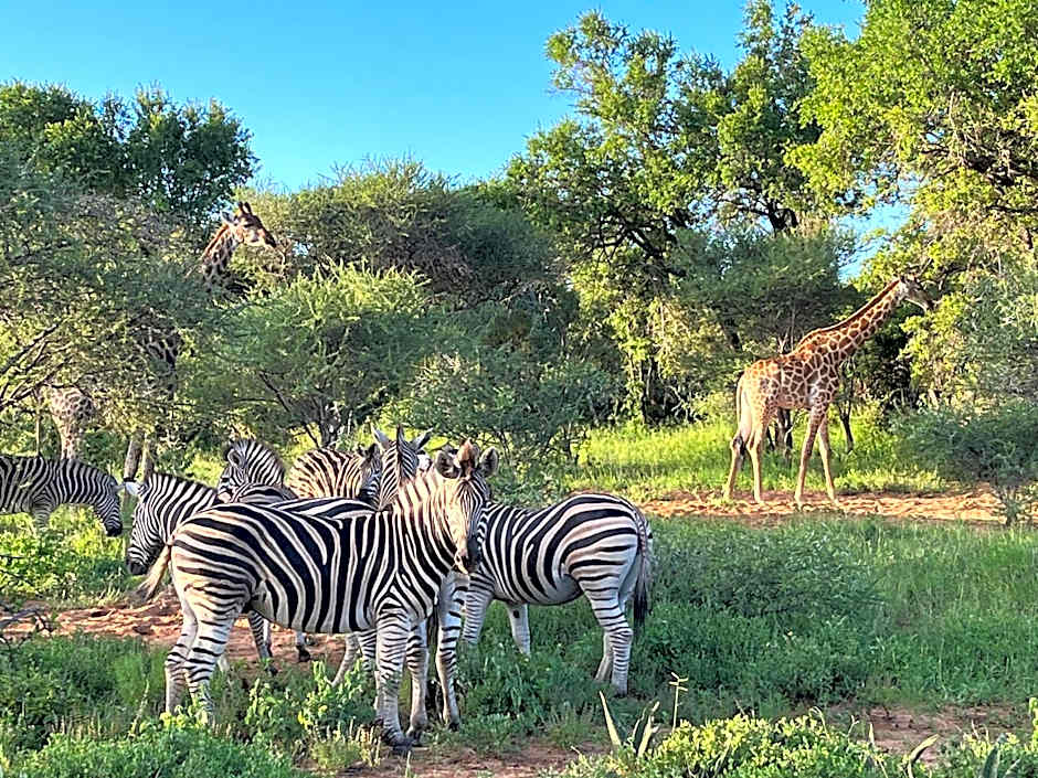 Lindiwe Safari Lodge