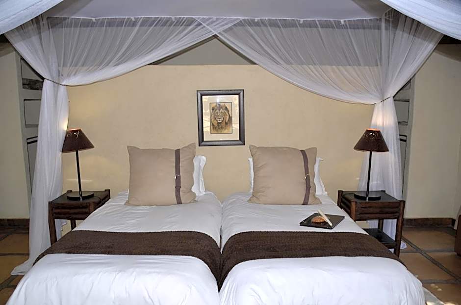 Moholoholo Forest Camp