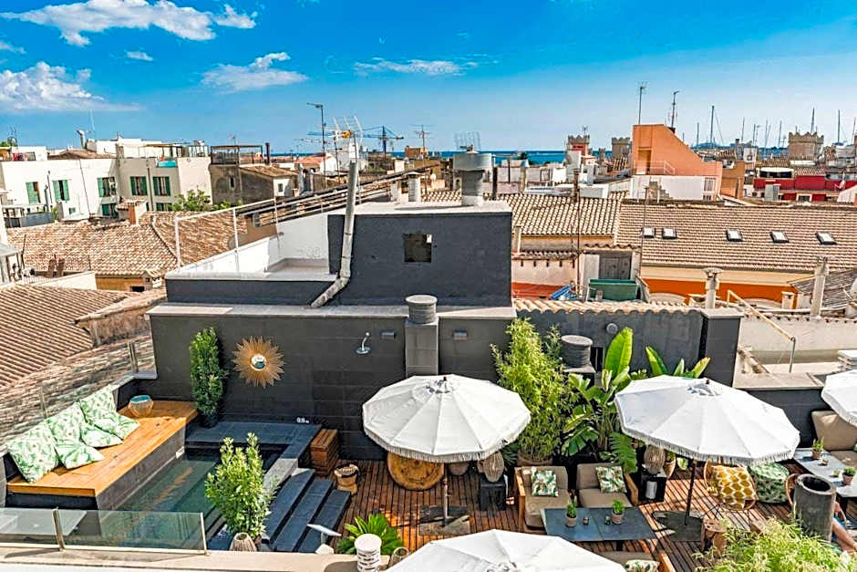 Puro Hotel Oasis Urbano