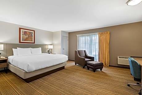 Deluxe Room,1 King Bed, Pool View, Non Smoking (1 King Bed)