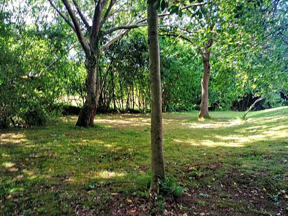 Trisileja en Novales