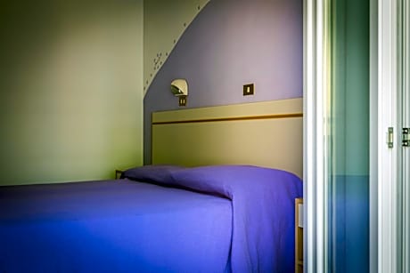 Basic Double or Twin Room