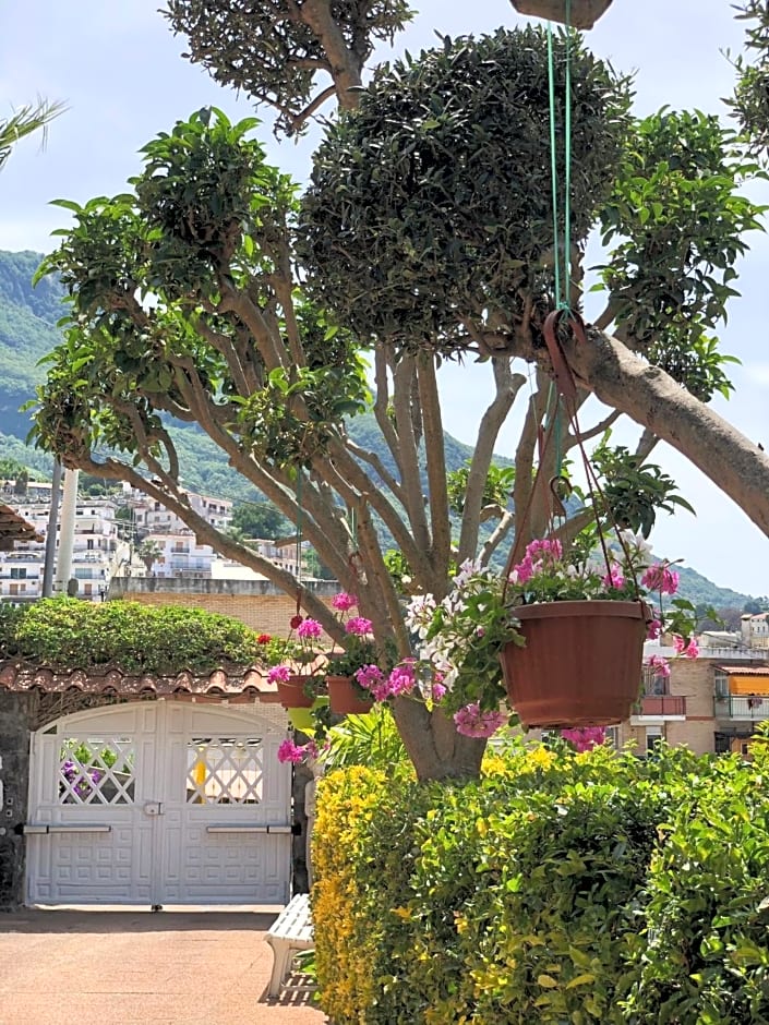 B&B Villa Anna Wunderbar