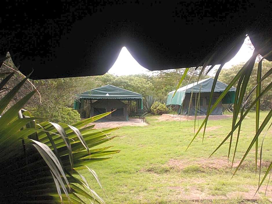 Cactus Eco Camp and Lodge