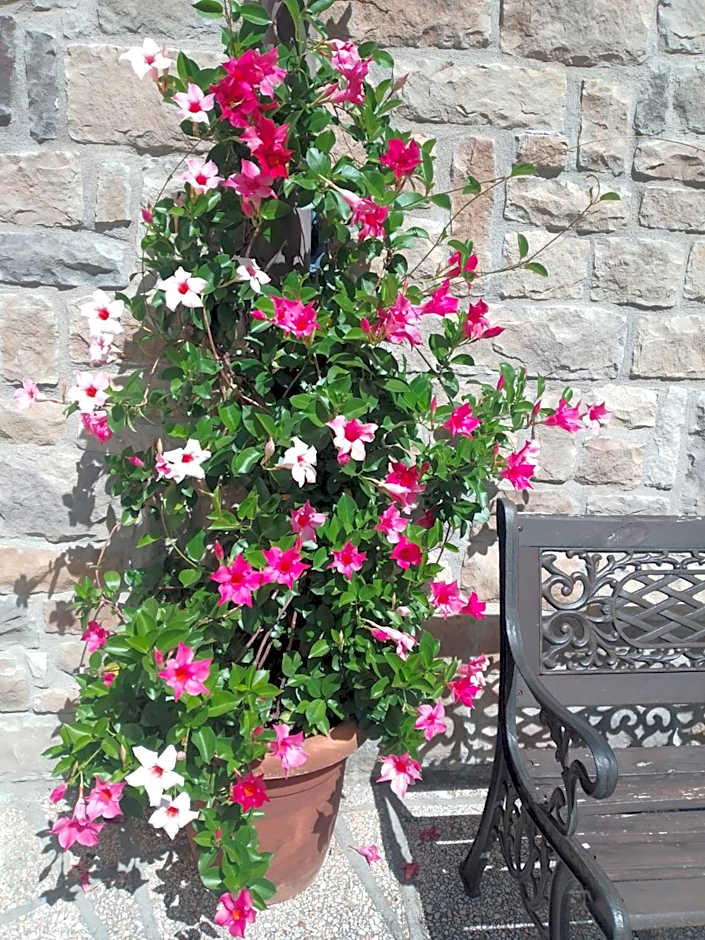 Residence Giardino