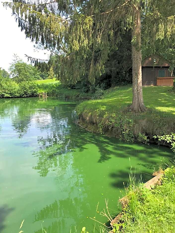 Hotel Restaurant Hesch