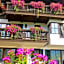 Alpenotel Rosenhof Ruhpolding, Wellness, Chiemgau Karte, Travelingo Bonus Programm