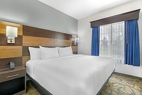 Efficiency Queen Suite -Non Smoking