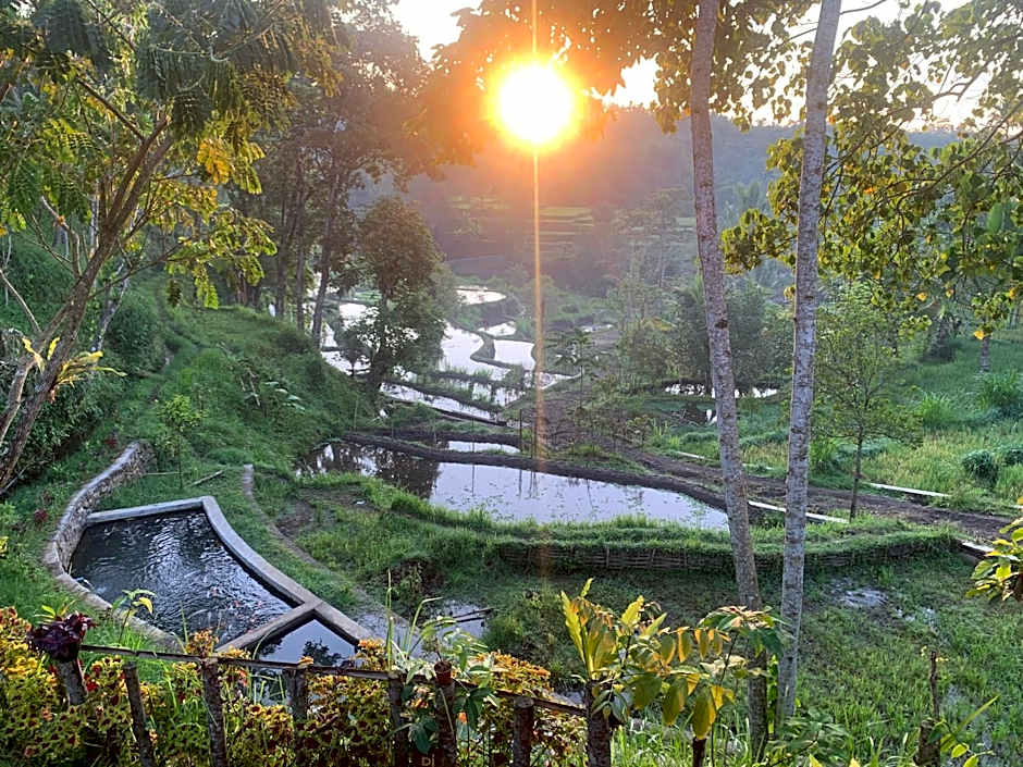 The Alam Bungalow & Restaurant